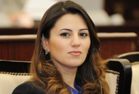 Azerbaijani MP to visit France 